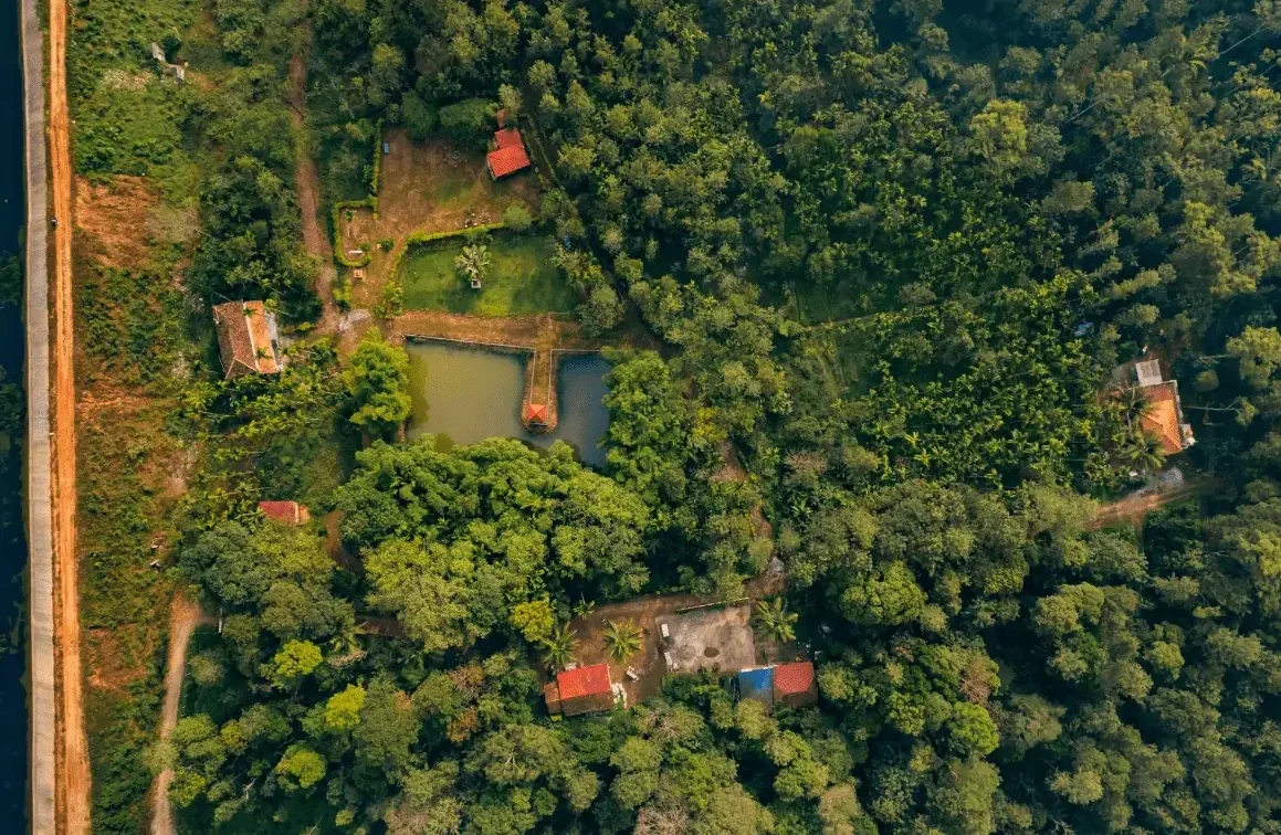 Aerial view of legacy estate land in the Western Ghats
