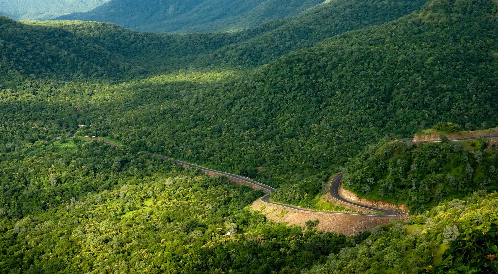Winding road through forested hills, like the ghat drive to Sakleshpur